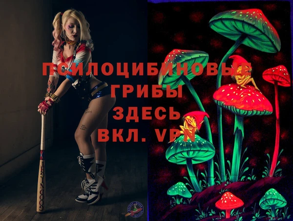 ПСИЛОЦИБИНОВЫЕ ГРИБЫ Алзамай