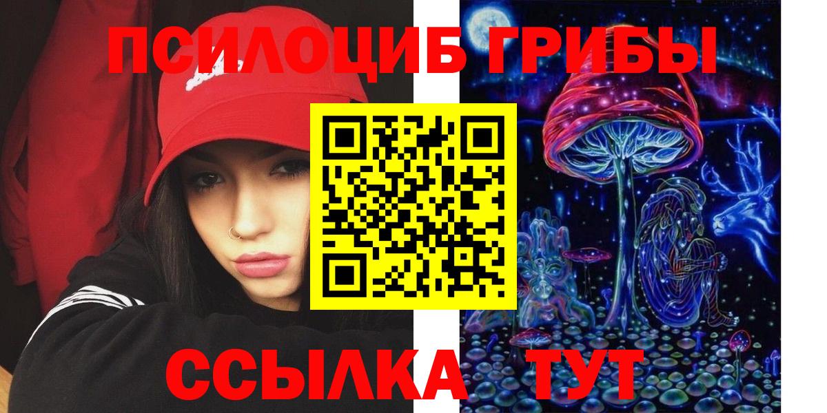 Чебаркуль  Псилоцибиновые грибы MAGIC MUSHROOMS  Галлюциногенные грибы прущие грибы  как найти   Вход с VPN 